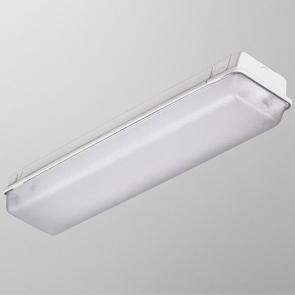 DW LED Enclosed and Gasket Light