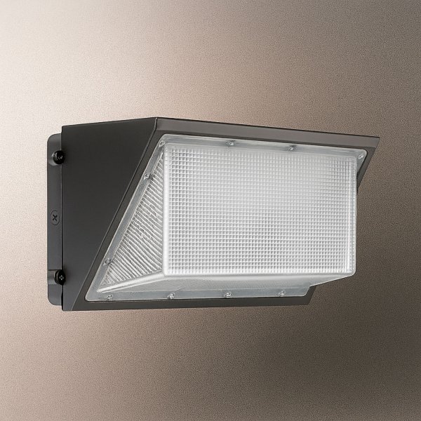 DWP1 2G LED Wall Pack