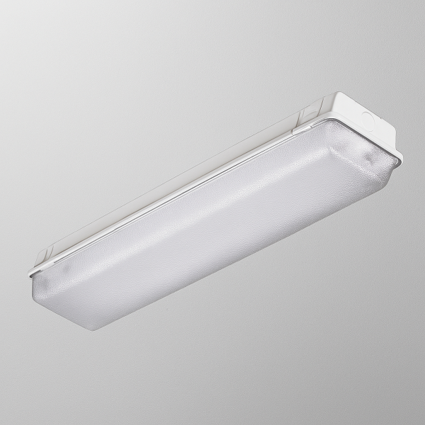 DW LED Enclosed and Gasket Light