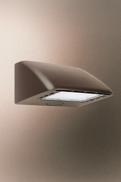 DWP2 4G LED Wall Pack